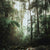 OUD N˚1