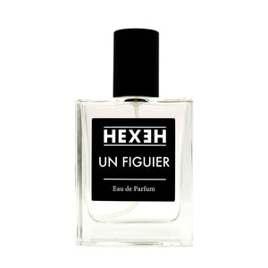 UN FIGUIER - HEXEH Studio